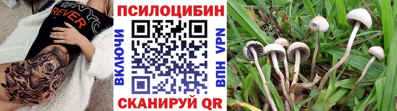 Галлюциногенные грибы ЛСД  купить наркоту  KRAKEN ссылки  Почеп 